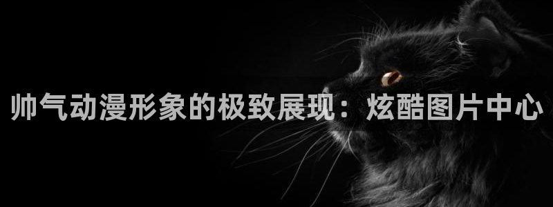 火狼动漫网傲娇公主：帅气动漫形象的极致展现：炫酷图片中心
